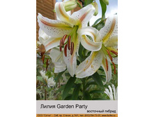 Garden_Party 28�.jpg