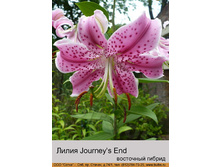 Journeys_End 22�.jpg