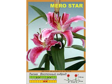 Mero_Star 22�.jpg