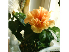 01.03.2009 12:47:09