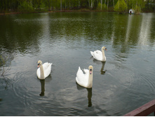 P1020544.JPG