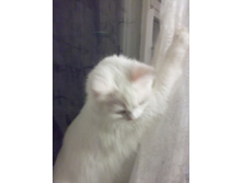 �����2011 018.jpg