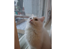 �����2011 033.jpg