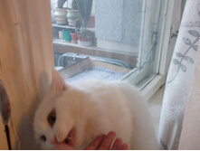 �����2011 032.jpg