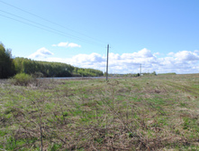 DSC_0003.jpg