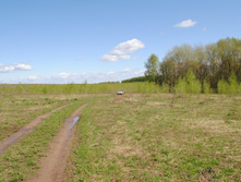 DSC_0031.jpg