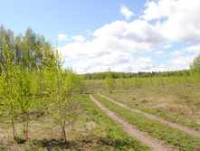 DSC_0033.jpg
