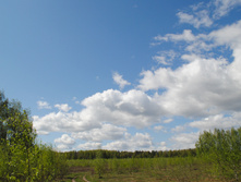DSC_0034.jpg