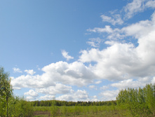 DSC_0035.jpg