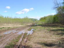 DSC_0036.jpg