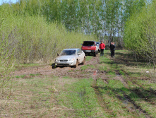 DSC_0039.jpg