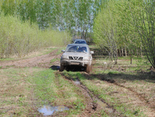 DSC_0041.jpg