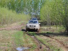 DSC_0042.jpg