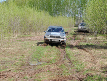 DSC_0049.jpg