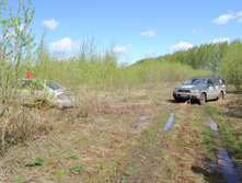DSC_0053.jpg
