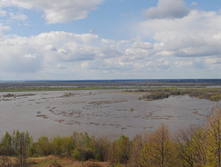 DSC_0086.jpg