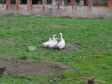 DSC_0111.jpg