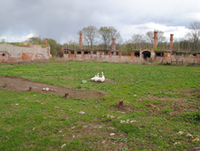 DSC_0112.jpg