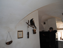 DSC_0154.jpg