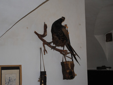 DSC_0155.jpg