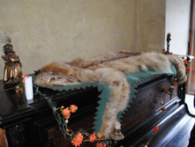 DSC_0172.jpg