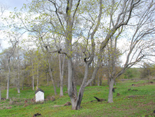 DSC_0184.jpg