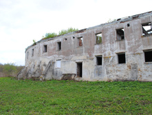 DSC_0193.jpg