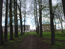 DSC_0195.jpg