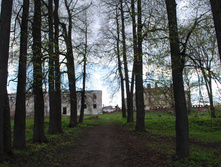 DSC_0196.jpg