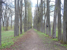 DSC_0197.jpg