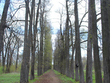 DSC_0198.jpg
