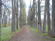 DSC_0199.jpg