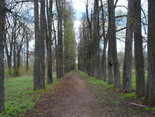 DSC_0200.jpg
