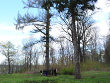 DSC_0210.jpg