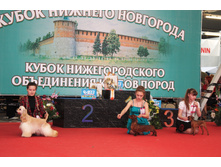 �5.jpg