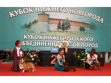 �10.jpg