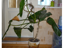 �� ��������� ����� 2010.jpg