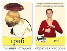 3d_karto4ka_goluboy_200x266.jpg