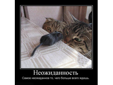 13.09.2010 10:17:30