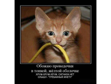 13.09.2010 10:17:32