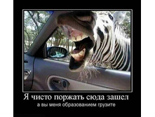 13.09.2010 10:17:43