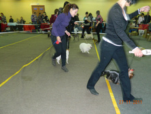 DSCN5195.jpg