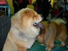 DSCN5049.jpg