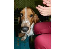 DSCN5050.jpg