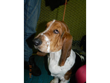 DSCN5051.jpg