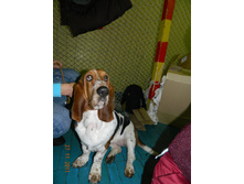 DSCN5053.jpg