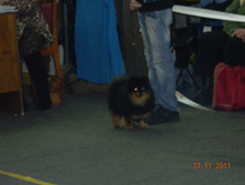 DSCN5055.jpg