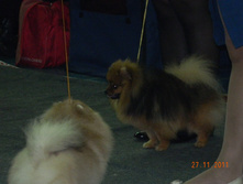 DSCN5056.jpg