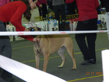 DSCN5059.jpg