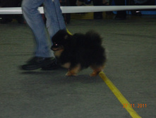 DSCN5061.jpg
